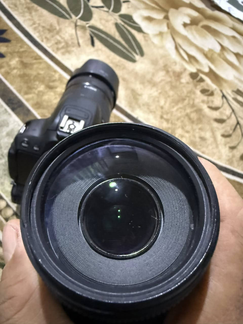 كامرا كانون D700
مع ملحقاتها  موضحات بالصور  ما يحتاج اشرح  الكامرا  شغله يخبل  مع  الزوم 75.300 
  للبيع   مكاني ديالى   رقمي *********** افحص بيدك  احسن  من الحجي 
اتصل وتدلل  
للعلم  لا يوجد توصيل
