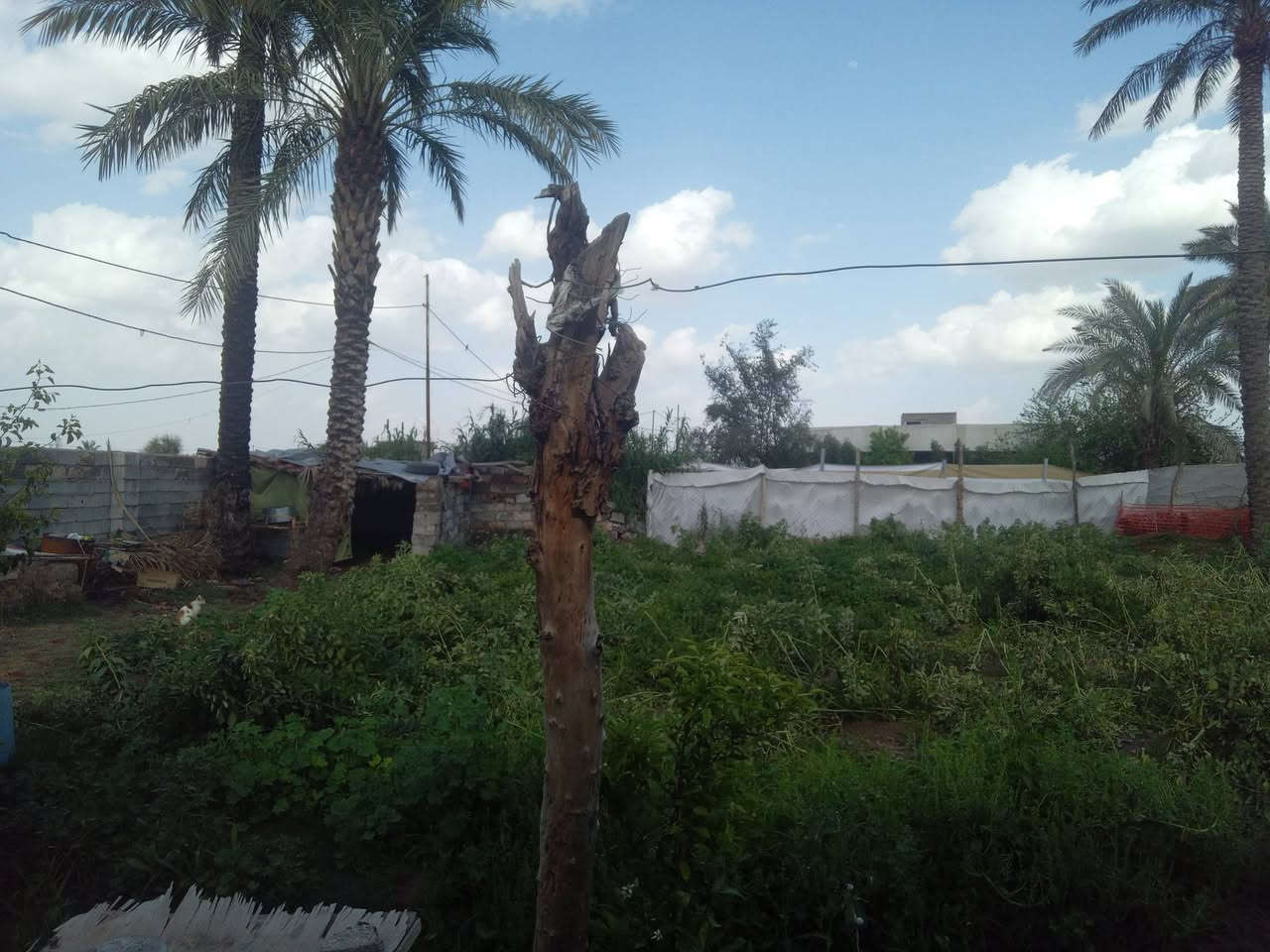 دونم مع دار المساحه 1 دونم خدمات كامله شارع تبليط كهرباء اسالة ماء قرب الشارع العالم في منطقة الخناسه قرية القانم 
اتصال.  ***********
