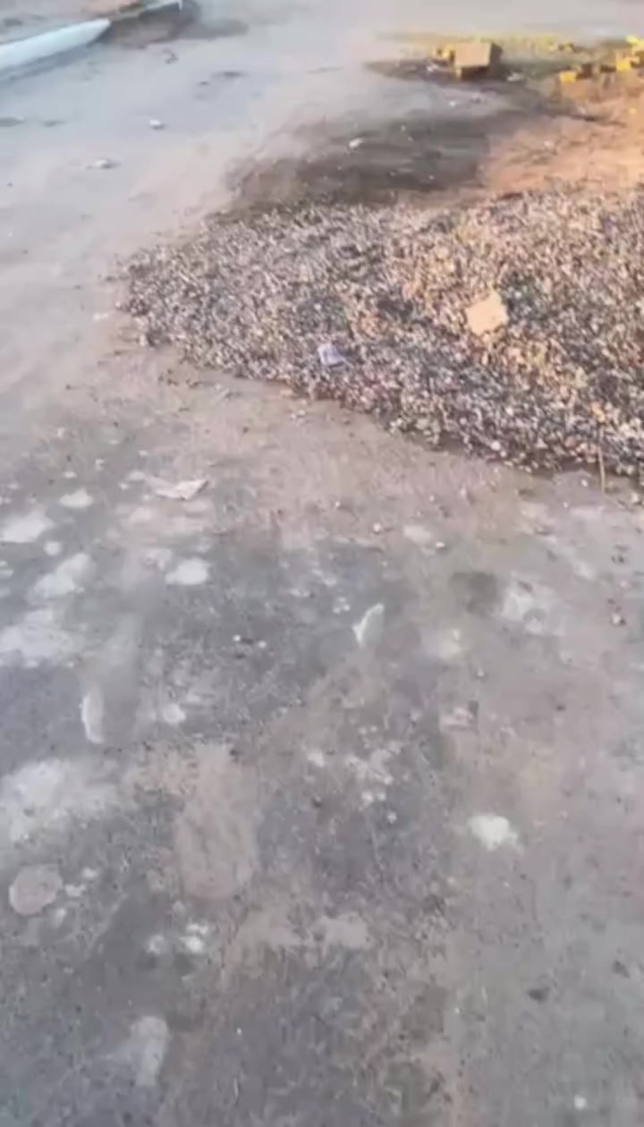 دار للبيع
طابو صرف /بناء حديث 

المساحه 125 م 

الموقع الزبير حي الصحفيين الاولى مقابيل حديقه  مقابل شارع 30 

السعر 160 وقابل للتفاوض
للاستفسار حسين سلمان الحمودي ***********
