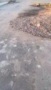 الزبير حي الصحفيين • ١٢٥م • طابو صرف