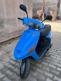 دراجة فراشة • معمرة • البصره