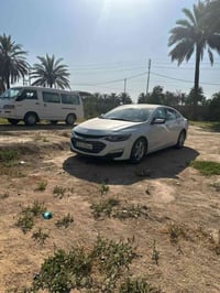 ماليبو • ٢٠٢٣ • بابل سده الهنديه