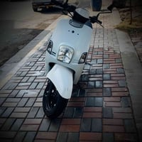 دراجة ماكس بوليس • كفالة عامة • فحص