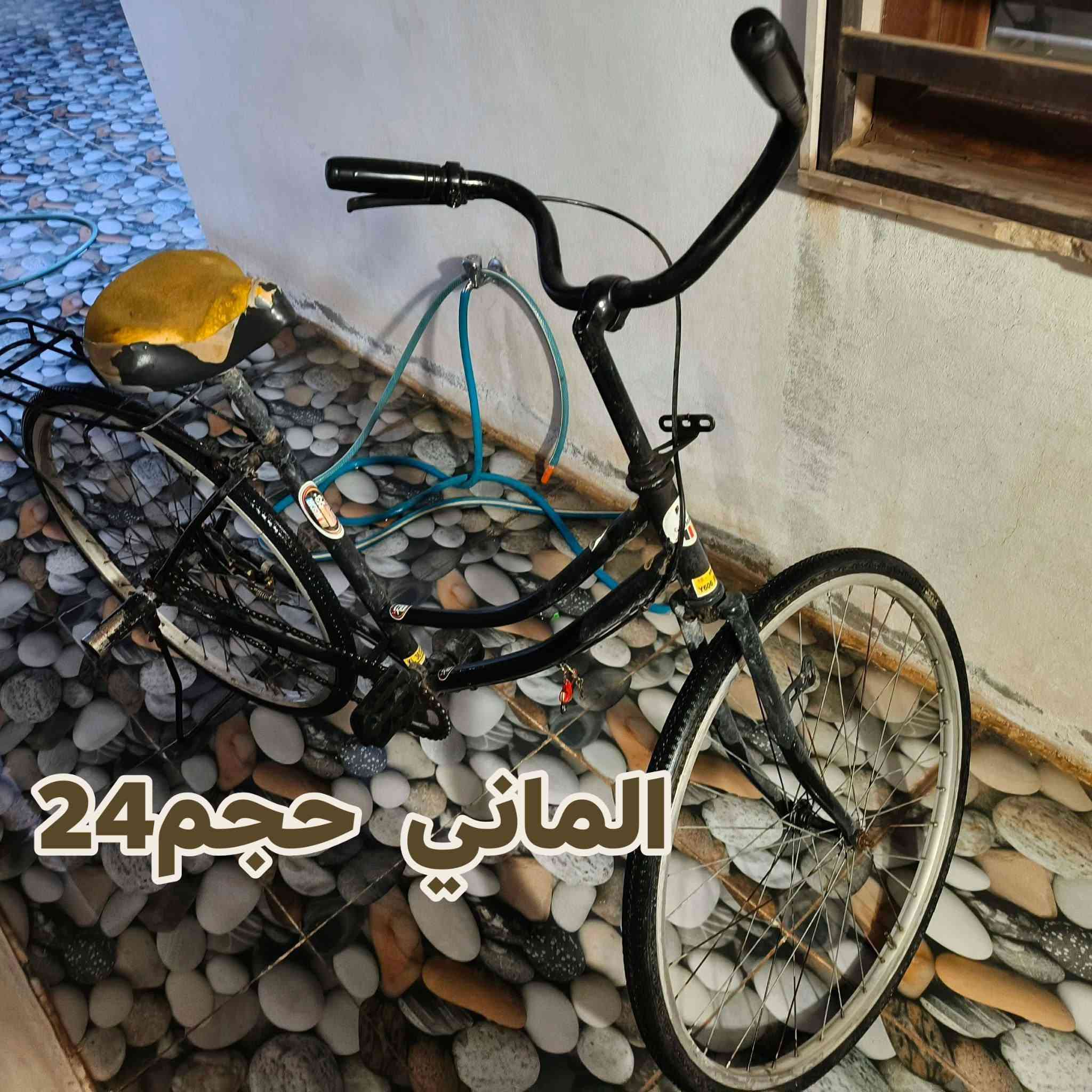 سلام عليكم..عدنا ذني باسكيلات وياه كاروك خشب تفصال سعرهم مناسب شراي يراسل..مكان كركوك طريق بغداد حي واسطي مقابيل جامع جبوري


**إذا كنت صاحب هذا الإعلان وتريد حذفه لأي سبب، رجاءا أرسل رسالة إلى الدعم الفني**