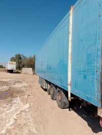 بوكس • واسط الدبوني • ارتفاع ٢٫٧٥م