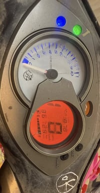 سكنس فحل • ٣٦الف • وراق كامله