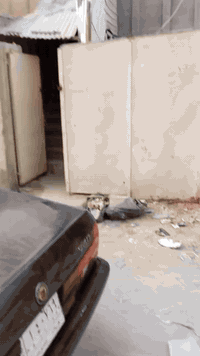 شقة للايجار • الحر كاتب عدل • ١٠٠م