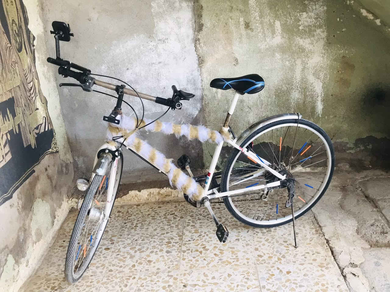 سلام عليكم بايسكل البيع اي ضرر مابي اي صبغ مابي بايسكل مكفول بايسكل تبديل سعره120وبي مجال الطيبين


**إذا كنت صاحب هذا الإعلان وتريد حذفه لأي سبب، رجاءا أرسل رسالة إلى الدعم الفني**