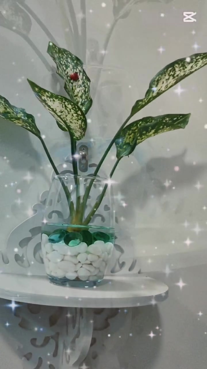 🌱
“بس شوية مي… والباقي جمال طبيعي يعيش وياك ✨


**إذا كنت صاحب هذا الإعلان وتريد حذفه لأي سبب، رجاءا أرسل رسالة إلى الدعم الفني**