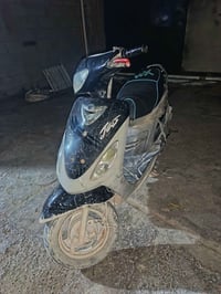 ماكس • سلف • بايراني