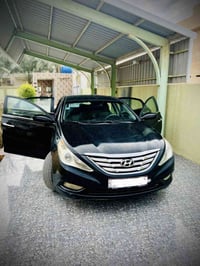 سوناتا • ٢٠١٣ • وارد امريكي