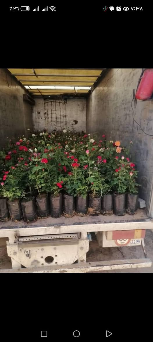 مع بداء موسم مروج الخضراء 🌹🍀🌵🌻
🌹مستعدون لترتيب   الحدائق المنزليه 🌹
🛑  ترتيب الحدائق المنزليه.م̷ـــِْن جديد
🛑تصميم النينة والاشجار جميع نباتات
🛑زراعة الثيل بكل انواعة (الايطالي والفرنسي و الهندي) 
🛑زراعة الاشجار 🌱🌿 و النخيل 🌴
🛑زراعة الورود 🌹🌺 وجميع نباتات
🛑قص الثيل وتحديدة 🍀 وترتيبها الحدايق تنضيف 
الحدقجي ياسر      ***********
