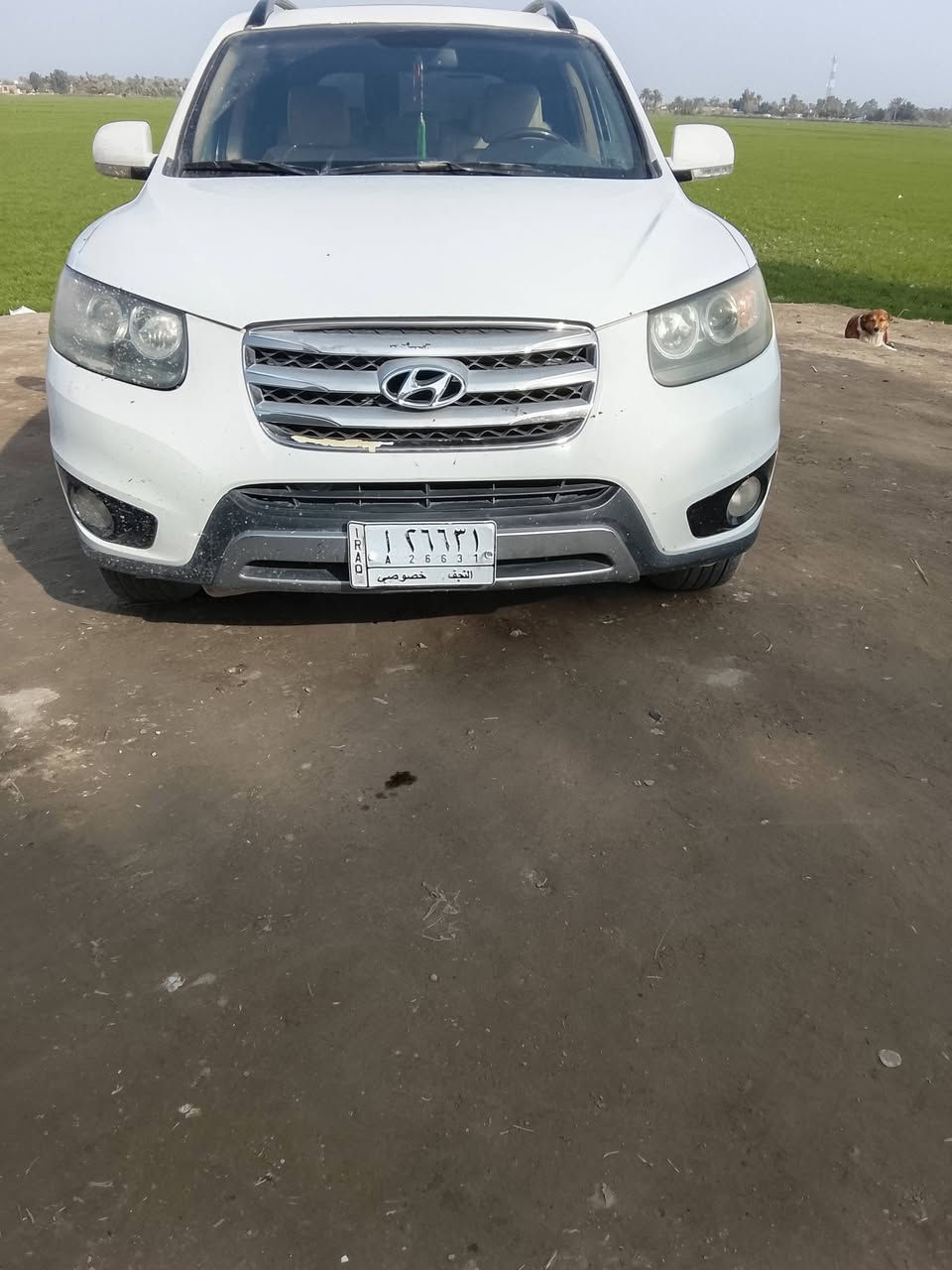 12 سنويه بسمي كفاله 140 سعر
