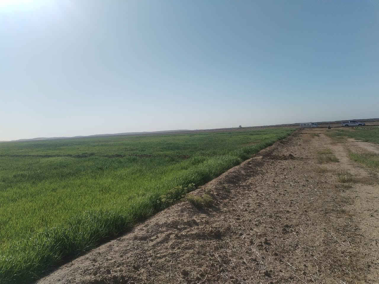 دغل للبيع ٦٠ دونم مسكي رشنين قرب تلت عنتر بن شداد سعر 5 ملاين ***********
