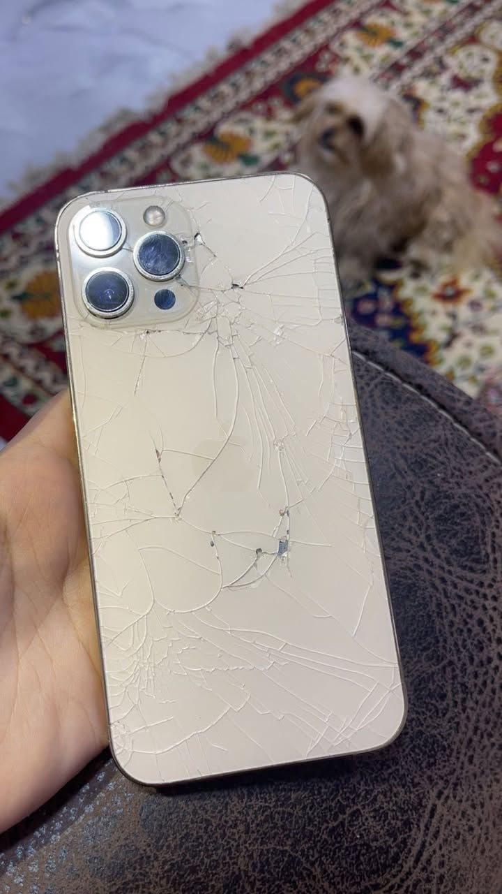 12 برو ماكس ذ256 بطارية 100 مبدل شاشة اصلية وبطارية الضهر مكسور مثل مموضح بالصور سعره 250 قفل مابي مجال نهائياً


**إذا كنت صاحب هذا الإعلان وتريد حذفه لأي سبب، رجاءا أرسل رسالة إلى الدعم الفني**