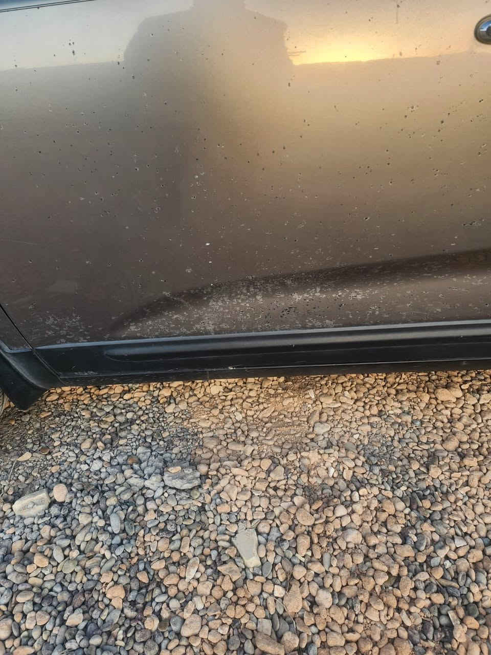 سورنتو 2015 وراد أمريكي محرك GDI2400حادثه بس دعاميه بامريكه ويم باب السايق انفجر باتري مال سياره وطفر على الباب تيزاب السياره مكفوله من الصبغ وكير ومكينه مكفول  
الرقم للاستفسار :
***********
‭0772 899 7732
موجود اتصال واتساب
رجاء لحد يدخل خاص
