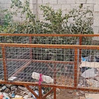 قفص دجاج مترين في 80سانتيم تفصال جديد صلامة دجاج جديدة استعمال يوم واح...