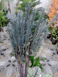 ورود ملونة • للفازات • حي الجمعية الاولى