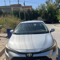 كورلا سلفر • وارد كندي • رقم سليمانية