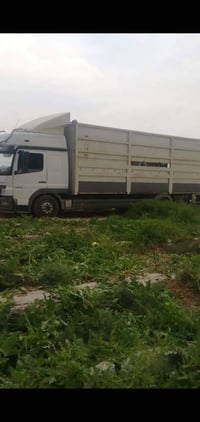 بودي اتيكو • خشب • موصل نينوى