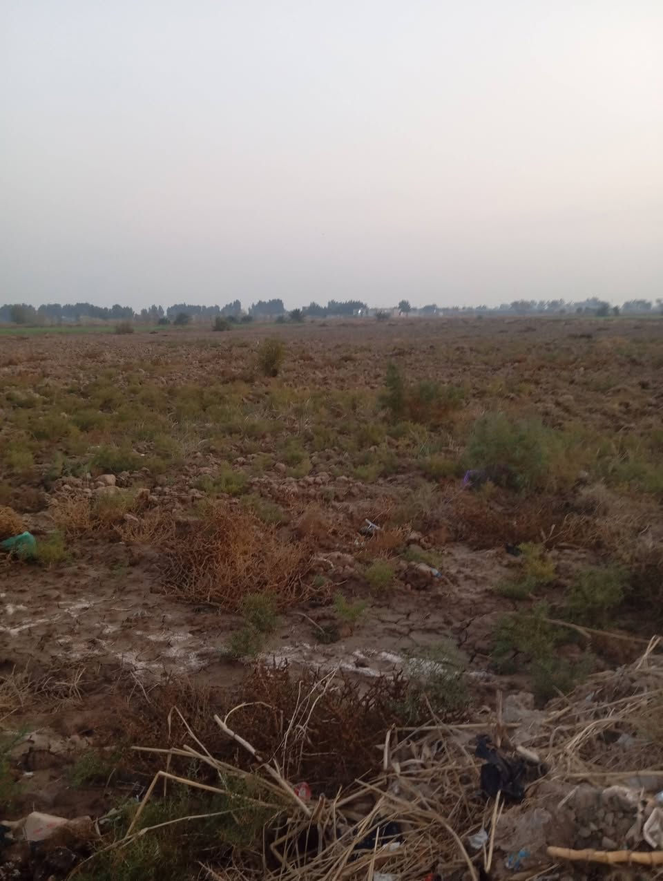 ارض زراعيه للبيع ست دوانم حاوي العباس قريبه ع المنطقه ماء وكهرباء للتصال ***********
