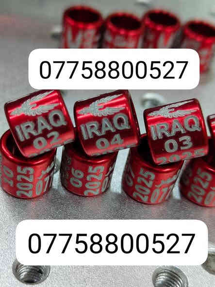 حجل طيرك وبسعار تنافسيه وشغل مضمون 👇❤️ حجول  وتوصيل لكل العراق والخبره بلعمل
من رخصت لمشرفين تريد حجل اصلي  ❤️ يوجد لدينا كل ماهو جديد عمل جميع  انواع حجول رابطه ستندر بنواعها حمام اللوت والزاجل والرافل والحمر وتور تيدي وطيور الزينه وباقي الطيور  بكافة انواعها  المغرد جاوه وبلابل  وفجانس وكناري وبادجي هاجرمو  وكوكتيل والدره وغندور وروز والحمام الملكي  ودجاج ومختلف النوعيات الالوان والموديلات حسب طلب الزبون الحجول والقياسيات موجوده بنواعها وتلبيس لطيور الكبار موجود حسب الطلب
الموثق والمفتوح وقراصات و المنيوم مفتوح الشغل درجة أولى حفر ليزر وحجول  والطيور بانواعها ملاحظه يوجد لدينا حجول زينه تراجي وحجل جرس خرخاشه واشرات وباقي الحجول بنواعها لكافه لطيور توجد خدمه توصيل لباب لبيت لجميع المحافظات العراق 🚕🚕 بسعر مناسب جدا للحجز مراسلة الصفحه او واتساب📱📞او الاتصال علئ الرقم او وتساب ملاحظه خبره بلعمل أكثر من 10 سنوات احذر التقليد 😍 لاتنسه لايك ومتابعه للحساب هدفنا تطوير الهوايه ولطيور لتعارف 😘 

***********
***********
