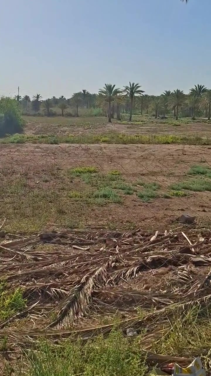 دونم مباشر عالشارع سند ٢٥ واجهيه ١٦ متر ونزال ١٤٠ من وسط الدونم يصير عرضه ٢٣ متر 
(منطقه السياحي ابو طماطه )

شارع تبليط عالجدول مباشرة 
للاستفسار  ***********
***********
