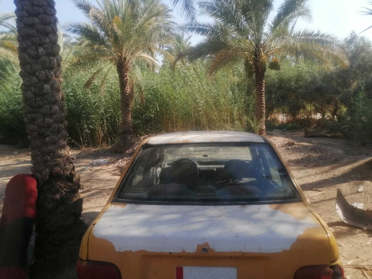سلام عليكم سايبه موديل/11 رقمه الماني بغداد 
سعره/ 800 رقمي ***********
