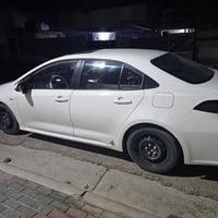 كورلا هايبرد • ٢٠٢٤ • كربلاء