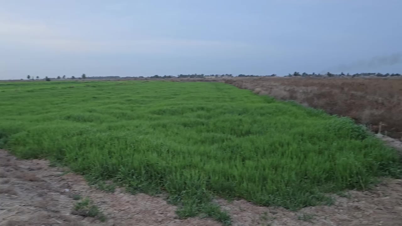 للبيع 
ارض زراعيه
مساحه ٤ دونم 
نزلة البو كاظم 
قرب المجزره 
متوفر 
ماء 
ماطور 
للاستفسار مراجعة مكتب السنيه للعقار 
قرب جامع السنيه الكبير 
***********
