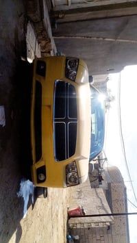 للبيع السعر ١٢٠ بيه فخذه ٠٧٧١٢٩١٨١٩٤ رقم بابل