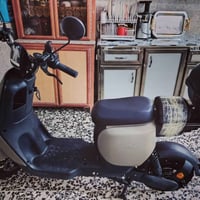 دراجة شحن • ام جنطه • جديدة