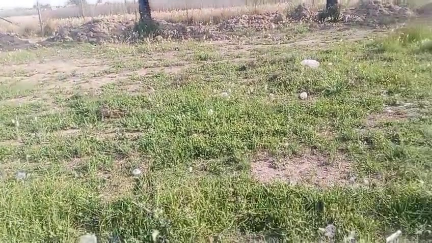 قطعة لبيع
مساحة 200 متر طابو زراعي سند 25 الموقع شارع المعاره قرب السكلات او شارع ابو نبيل يم سيد جواد اتصال على هذا الرقم
***********
