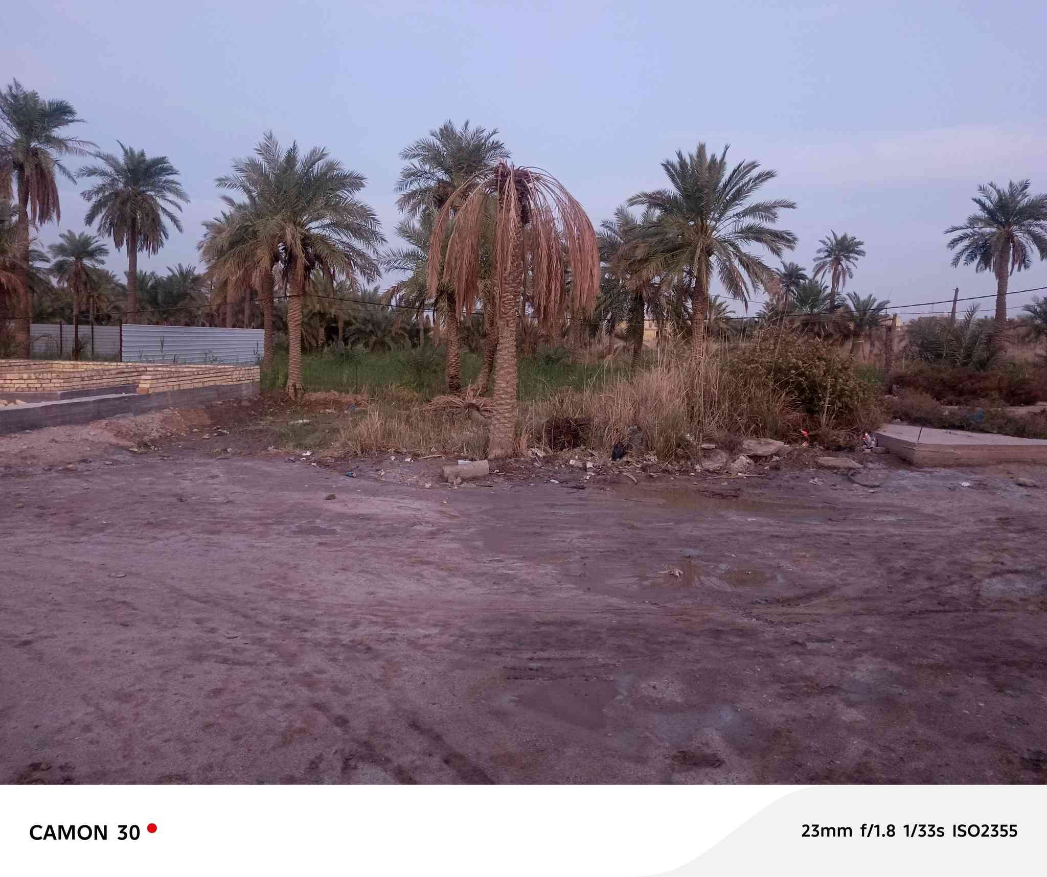 السلام عليكم قطعه زراعي للبيع ناحيه الفظليه المساحه 160 متر الموقع كاع سيد مرتظى الفرع الي مقابيل دائره الكهرباء الجديده منطقه سكنيه كافت الخدمات متوفره يمهه السعر المطلوب جدآ جدآ مناسب للاستفسار *********** واتساب *********** اتصل 🥰 نستقبل كافت العروض داخل الفظليه وطرافها ❤️
