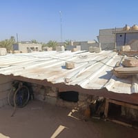 سقيفه جينكو • ٤×٣م • بعقوبة باب الدرب