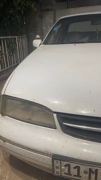فراشه اوتوماتيك • ١٩٩٦ • بدون ضرر