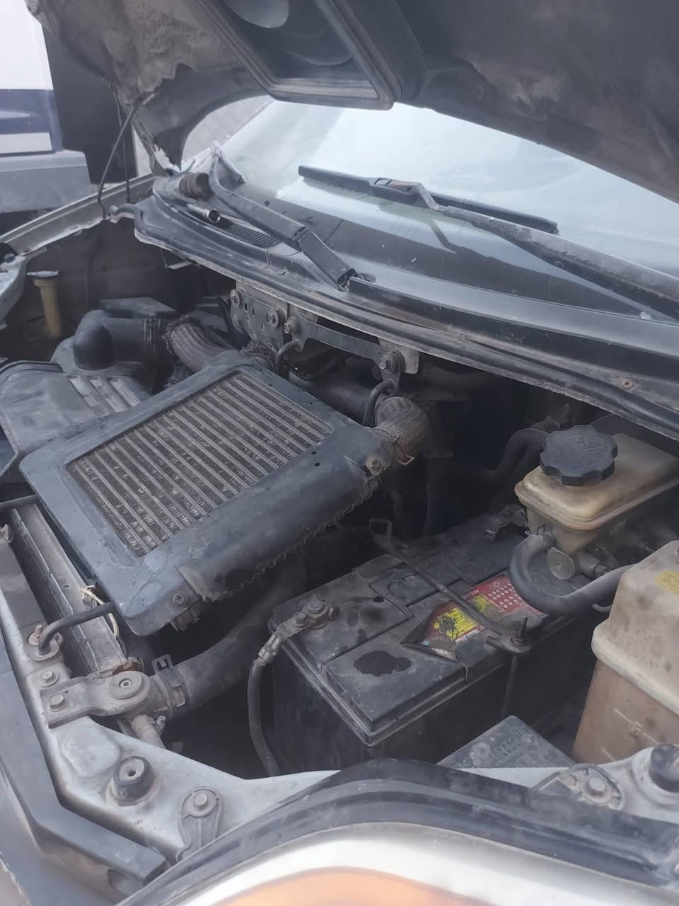 ستاركس 2007  رقم واسط بسمي مكاني بغداد
رقمها الماني واسط مشروع وطني
سنوية لل27
منظومة تبريد جديده تبريده ثلج
تخم تاير
كير اكسل 
صدر جديد شادة 
بنزات ودسكات وعنبار كلة جديد 
خياسات بالهلالات
كشرها مثل الصور
ب65


**إذا كنت صاحب هذا الإعلان وتريد حذفه لأي سبب، رجاءا أرسل رسالة إلى الدعم الفني**