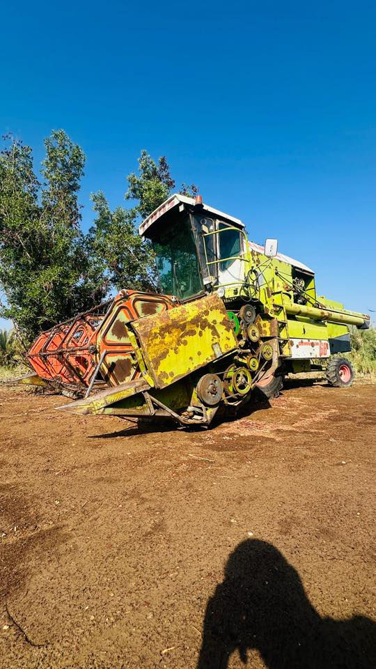 للبيع حاصده كلاص موديل 85 منفيس سعر مناسب للستفسار الاتصال ***********
