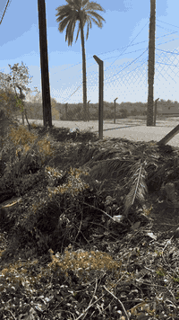 دونمين للبيع سند ٢٥ على شط العباسيه و على شارع عام وخدمات ماء وكهرباء 
***********
