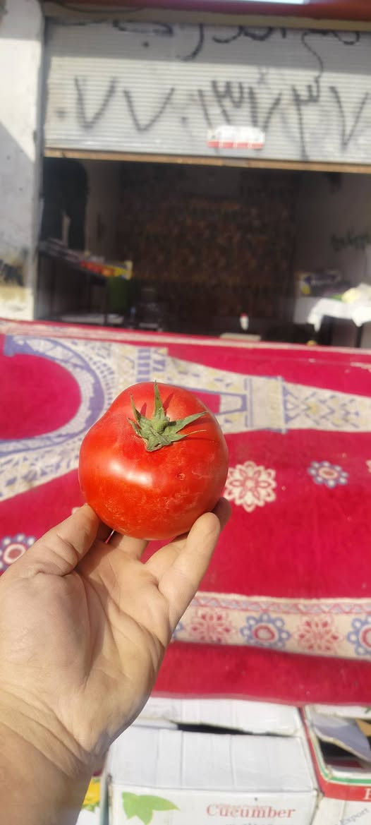 سلام عليكم ✋ بمناسبة شهر رمضان المبارك 
أرخص الأسعار وأفضل أنواع الفواكه والخضراوات ولحموضيات درجة الاولئ 
🔴 يوجد كافه أنواع الخضروات والفواكه 

 🔴 ويوجد حلويات  وعصائر و تمر

🔴 یوجد توصيل داخل داقوق مجاني


**إذا كنت صاحب هذا الإعلان وتريد حذفه لأي سبب، رجاءا أرسل رسالة إلى الدعم الفني**