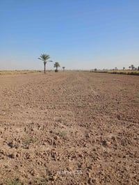 أرض زراعيه • ١٤ دونم • العزيزيه واسط