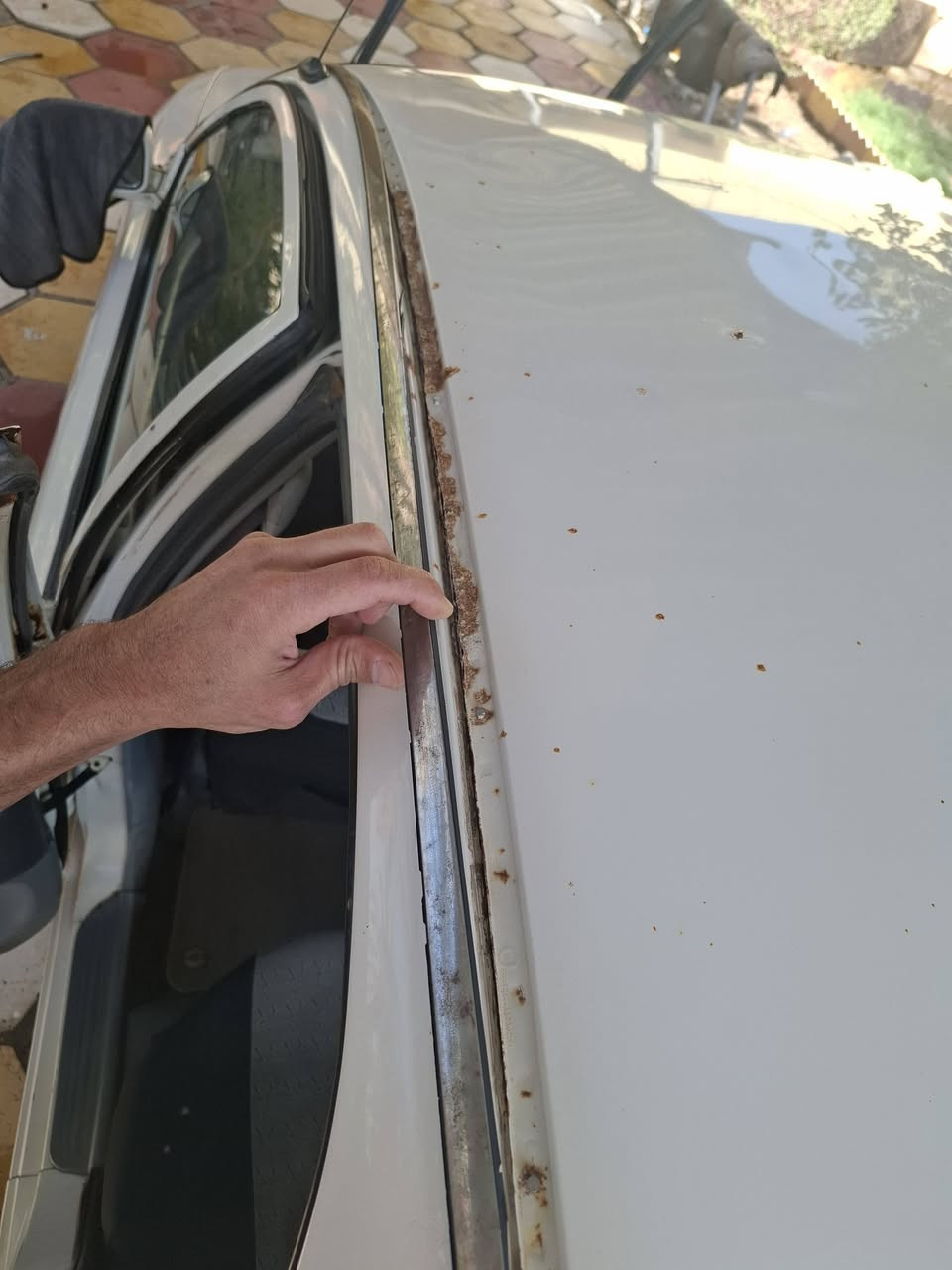 بغداد كير عادي السعر ٣٣
***********
