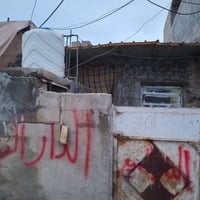 محمودية • ٦٠م • زراعي