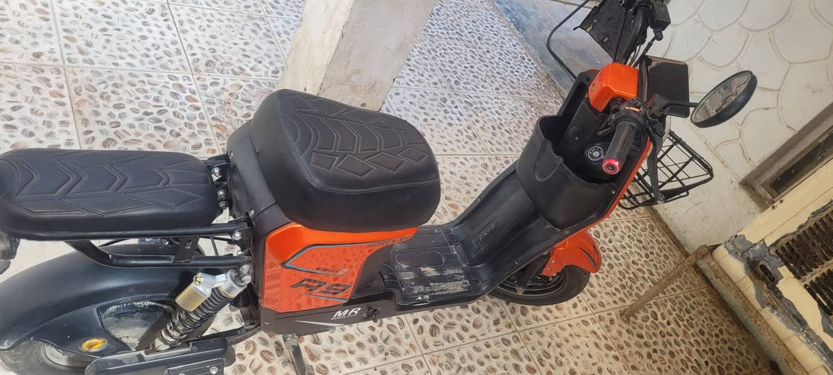 للمراوس بفورزه ونطي فرق بعقوبة, ديالى


**إذا كنت صاحب هذا الإعلان وتريد حذفه لأي سبب، رجاءا أرسل رسالة إلى الدعم الفني**