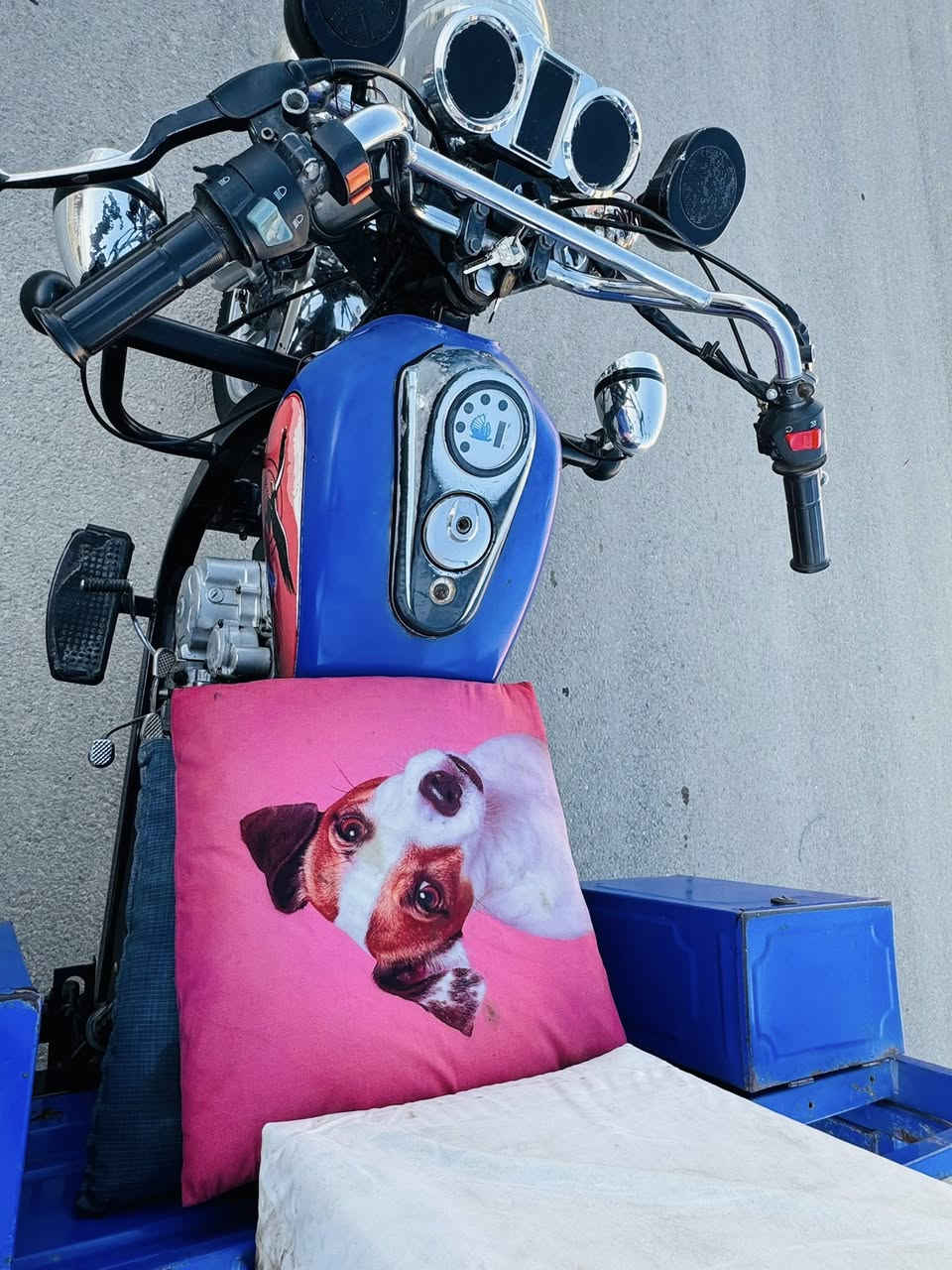 للبيع موديل ٢٠ بنفسجيه نضيفه اوراق سعرها ١٣٥٠ قفل قفل مكاني طويريج بل خيرات ‭٠٧٧٣ ٣٧٤ ٥١٧٣‬
