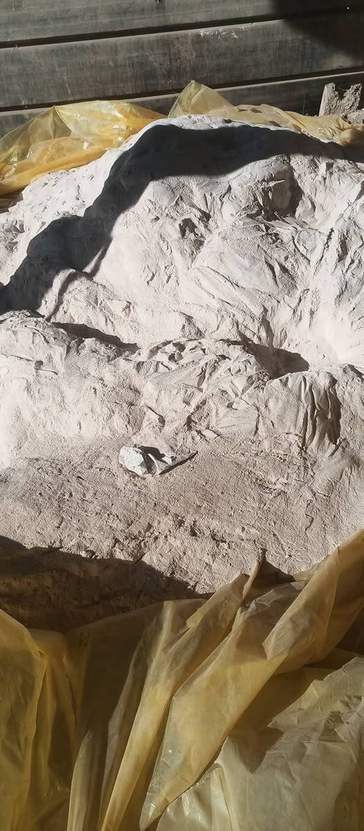 جوص للبيع اللي يريده ادك عله هذه رقم***********
