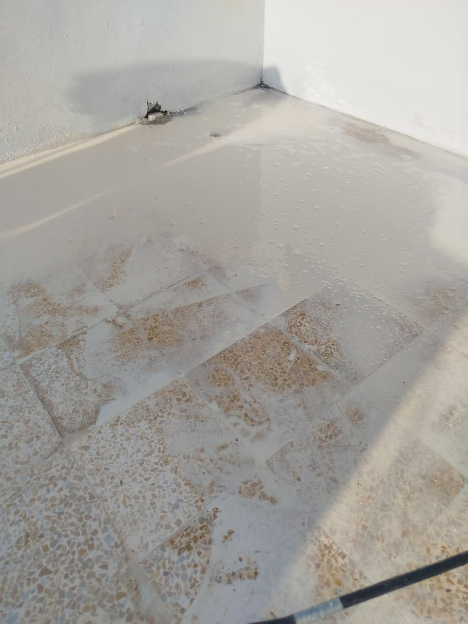 (مكتب الصديق)✅
مستعدون لجلي كافة أنواع الكاشي ☑️
وكافة انواع والمرمر  وتنضيف البورسلين 
كل انواع الكاشي القديم والجديد 
الاسعار بالمتر اكثر من 100 وفوك ناخذه بالمتر اقل من 100 متر ناخذه طوب 🏠
مكان الشغل في الموصلنا الحبيبة 🏨
الاستفسار اكثر الاتصال بالراقم ✅

☎️***********
الواتس اب ☎️ ***********
