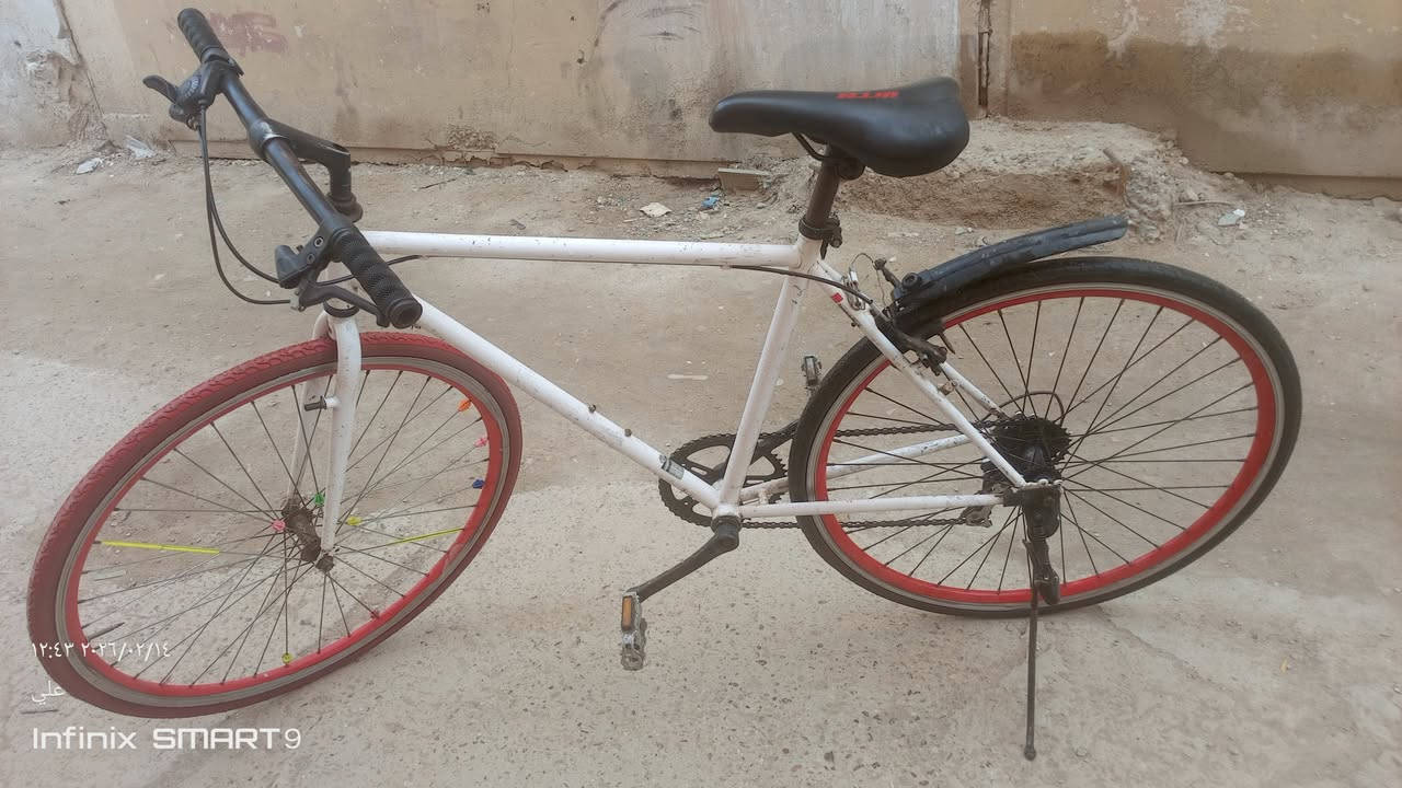 السلام عليكم
للبيع

بايسكل c700

البايسكل نضافته 
80%

السعر 80وبي مجال 
مكاني الدوره حي الصحه 
للاستفسار على الرقم 
***********
