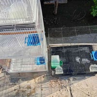 ٤ خانات • ٦ بيوت • استعمال شهر