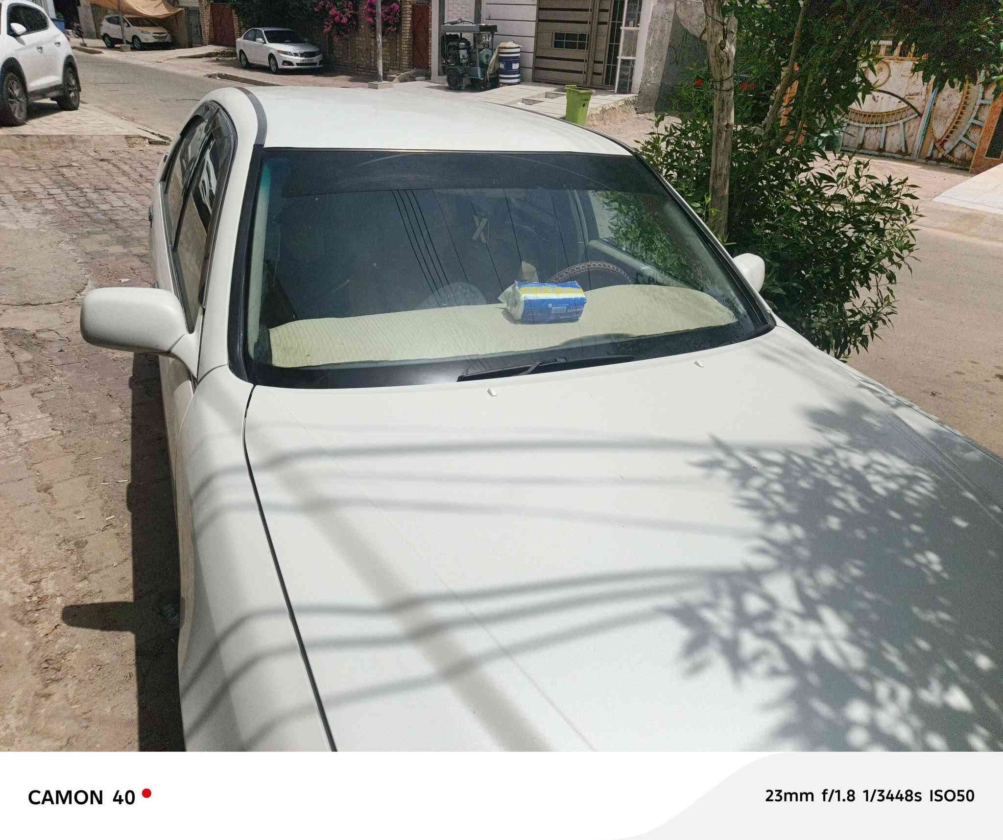 جنون كصه قماره فقط اربع دكم متوئمه اربيل مكاني العماره السعر35ورقه وبيهه مجال *********** واتساب فقط
